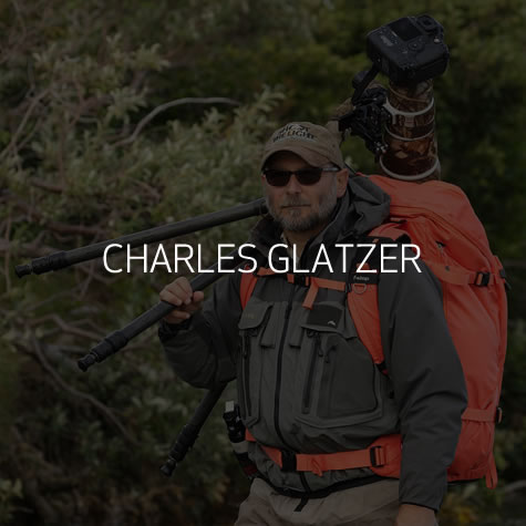 Charles Glatzer Sample Image with Name Overlay